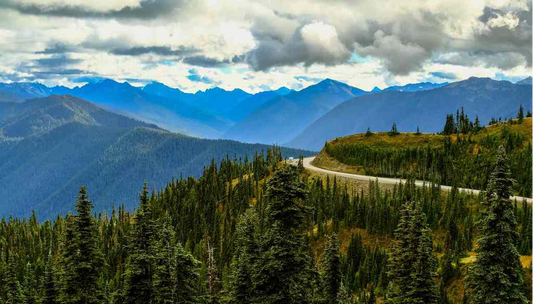 Best Places for a Summer Getaway with your Toyota 4runner
